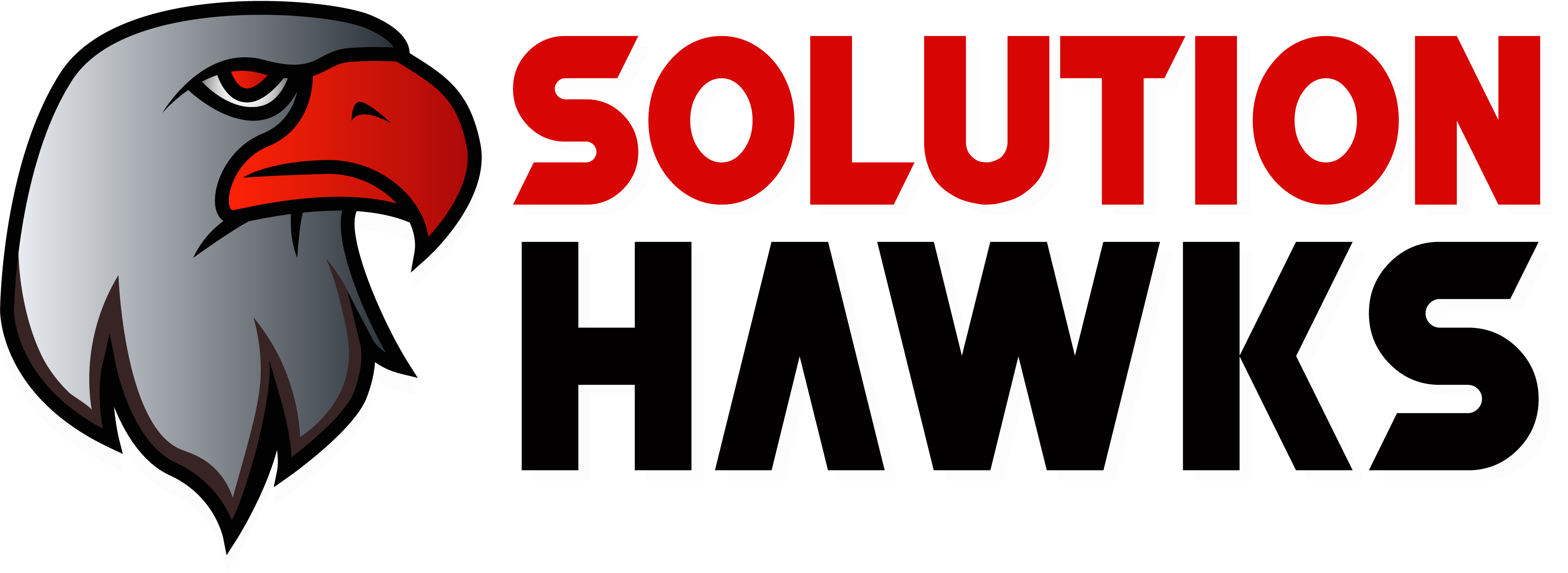 Solution Hawks Logo